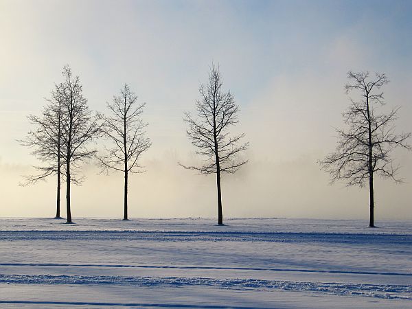 Winter_6