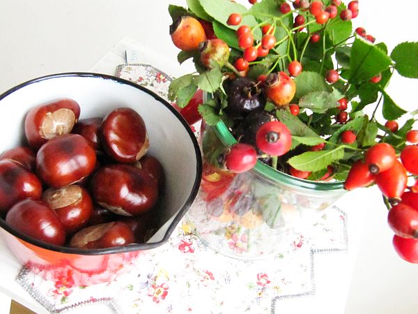 Vielfalt_Hagebutten und Kastanien