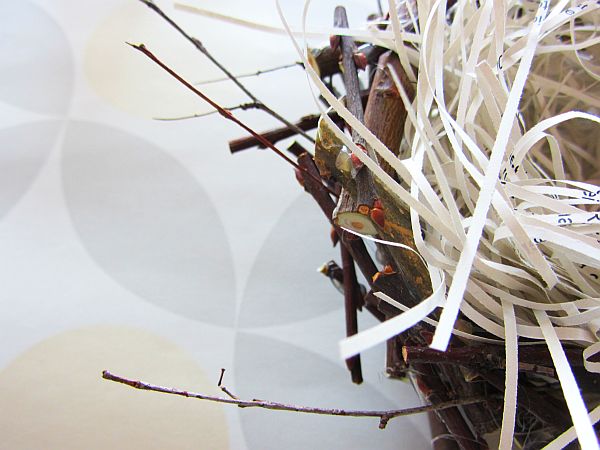 Nest aus Zweigen_Detail