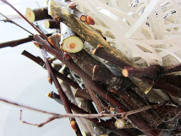 Nest aus Zweigen_close up